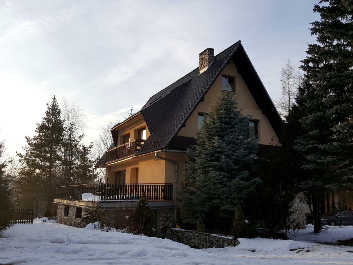 Pokoje Goscinne Wilcznik 12 Zakopane Exterior photo